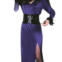 Saucy Sorceress Adult Costume