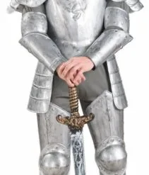 Knight In Shining Armor Adult Costume