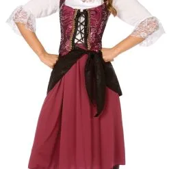 Burgundy Pirate Wench Adult Plus Costume