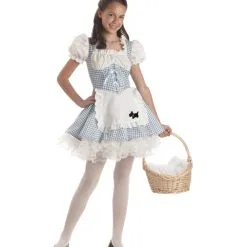 Storybook Sweetheart Costume For Tween